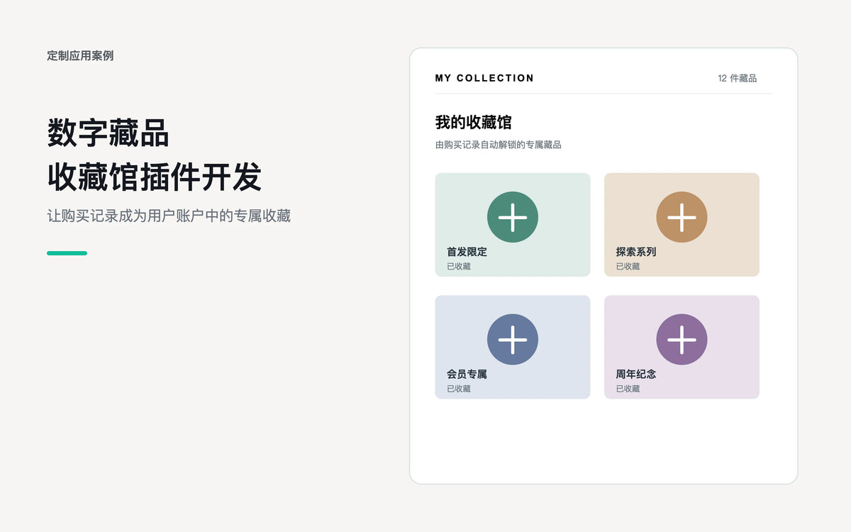 定制 Shopify 插件开发：数字藏品收藏馆 - 项目案例封面