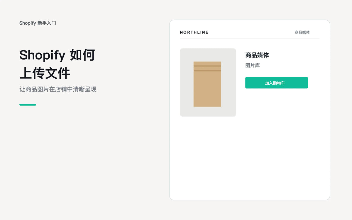 Shopify管理后台如何上传文件 - Shopify 新手入门